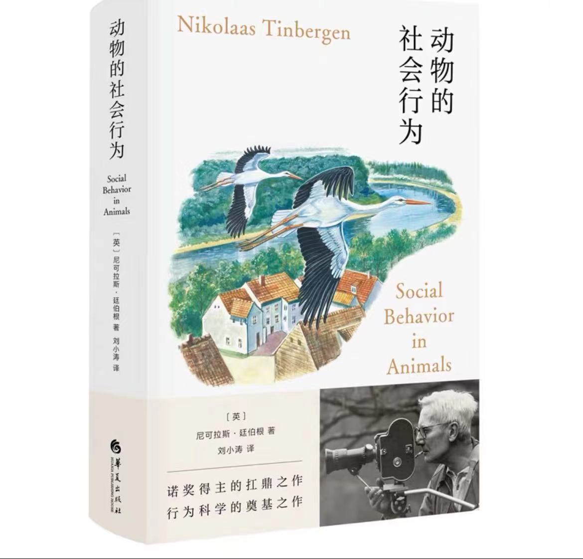 动物的社会行为