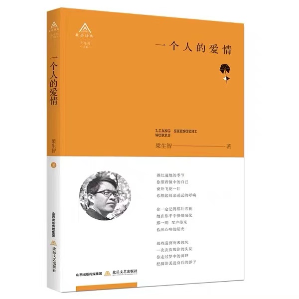 一个人的爱情